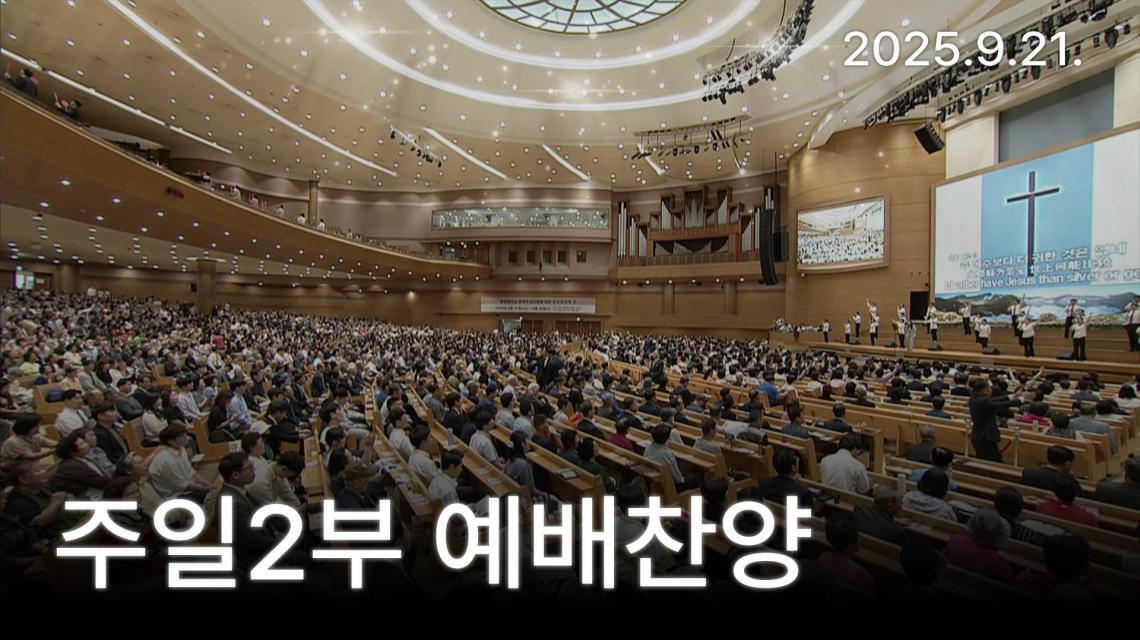 인기영상