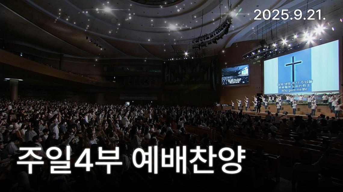인기영상